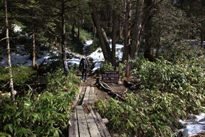 IMG_9790