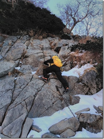 3IMG_20181102_082048