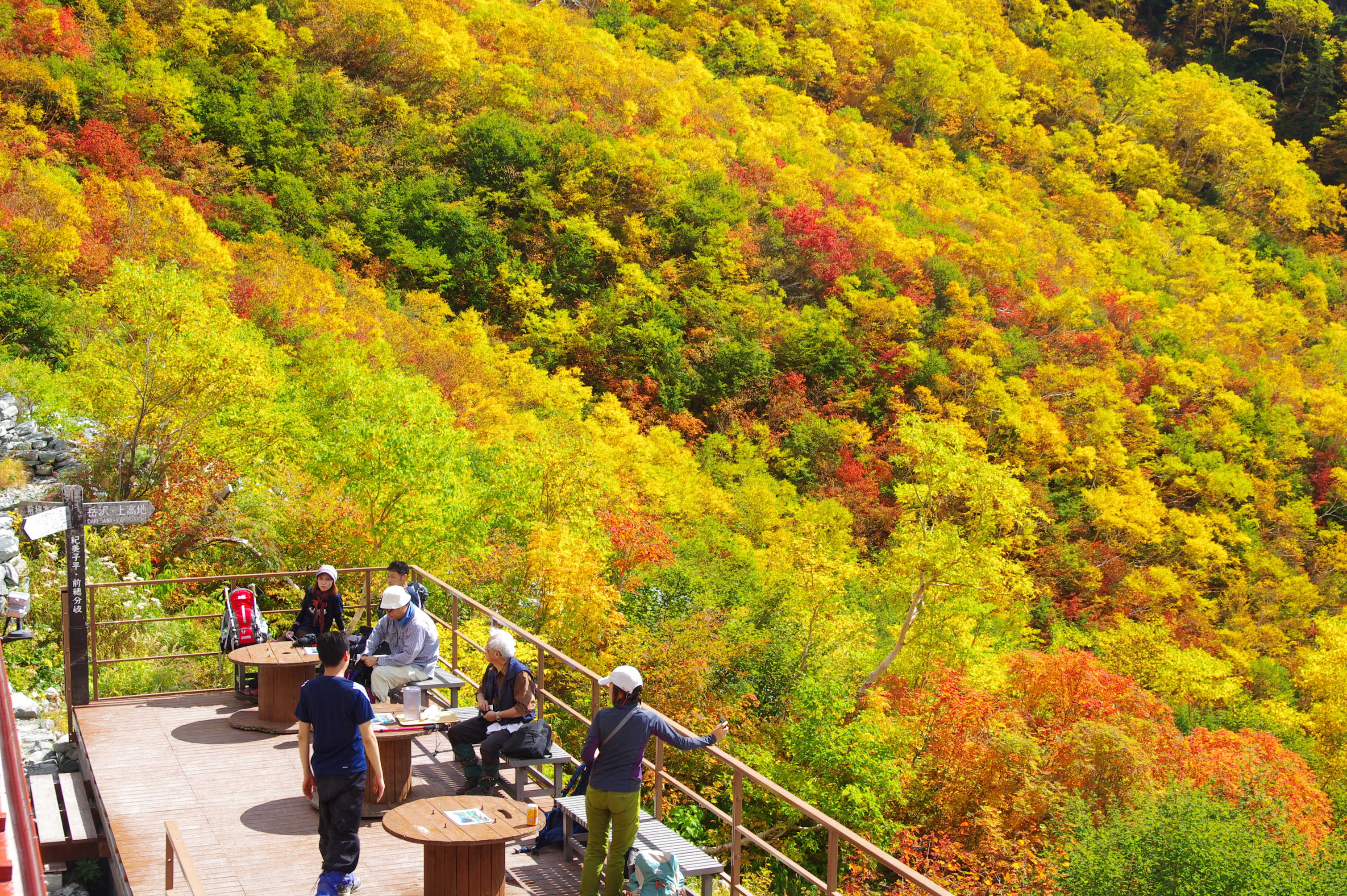 岳沢の紅葉・黄葉