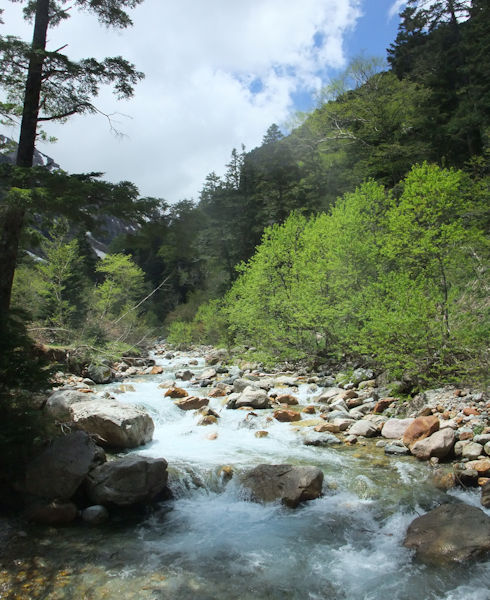 清流沿いの登山道