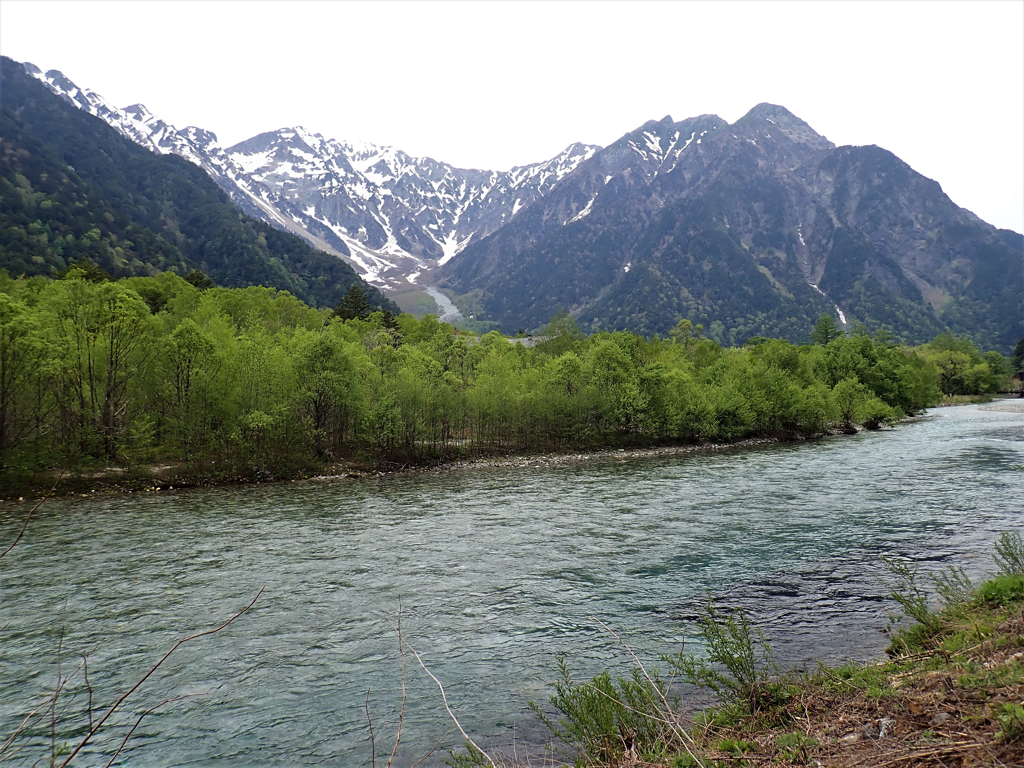 P5310010.jpg